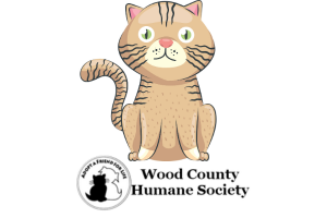 Caring for Community Cats
